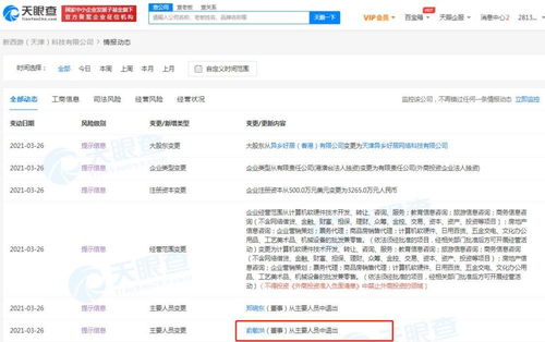 票務代理服務 便捷購票與專業(yè)支持的一站式解決方案